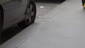 Francia fekete bige kedveli a giganagy fehér kolbászt Thumb